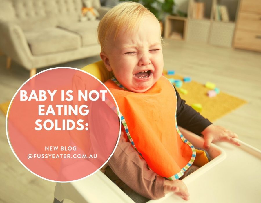 baby is not eating solids - Get help from Fussy Eater Solutions